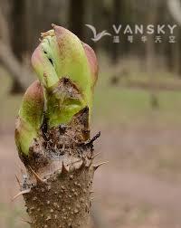 260320153534_download 1.jpg